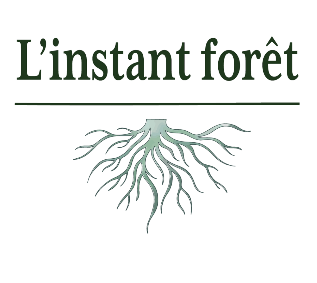 Logo l'instant foret
