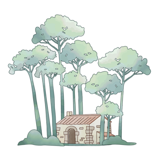 L'instant forêt