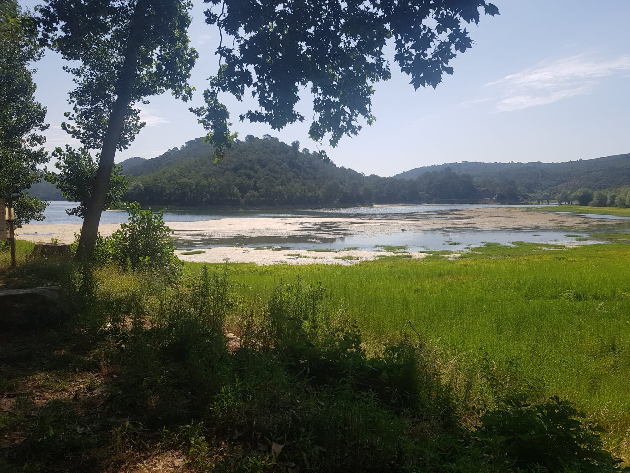lac de carcès
