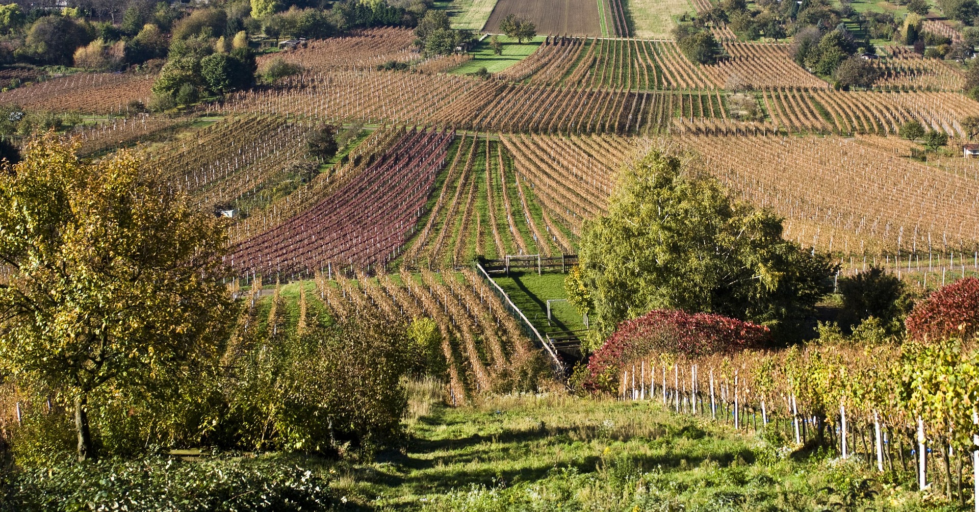 Cotignac