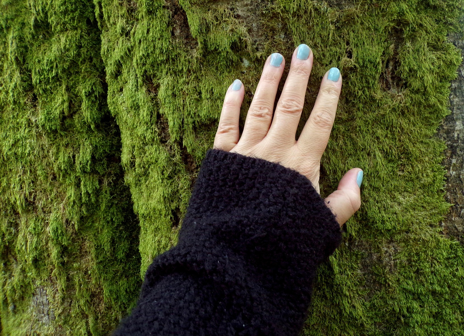 bain de forêt
